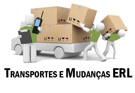 transportesemudancaserl.com